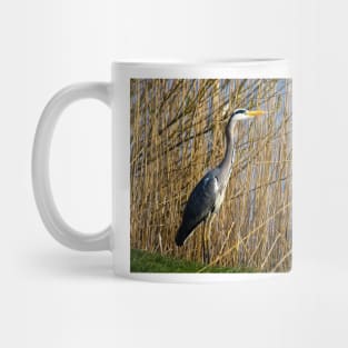 Grey Heron among the reeds Mug